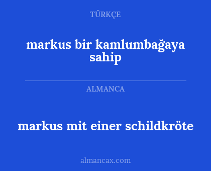 markus mit einer schildkröte - markus bir kamlumbağaya sahip
