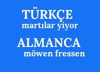 mart%C4%B1lar+yiyor-m%C3%B6wen+fressen.png