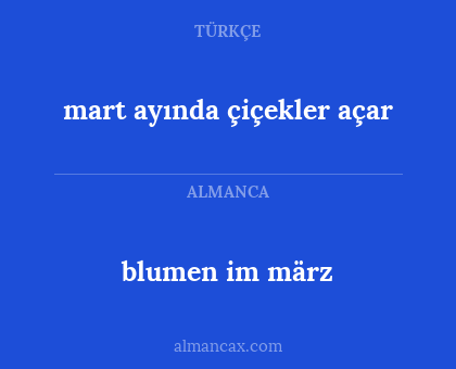 blumen im märz - mart ayında çiçekler açar