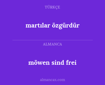 möwen sind frei - martılar özgürdür