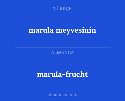 marula-frucht - marula meyvesinin
