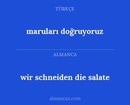 maruları doğruyoruz - wir schneiden die salate