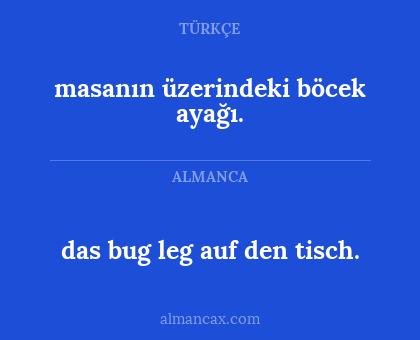 das bug leg auf den tisch. - masanın üzerindeki böcek ayağı.