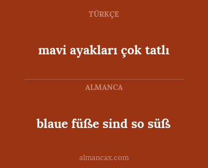 mavi ayakları çok tatlı - blaue füße sind so süß
