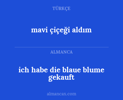mavi çiçeği aldım - ich habe die blaue blume gekauft