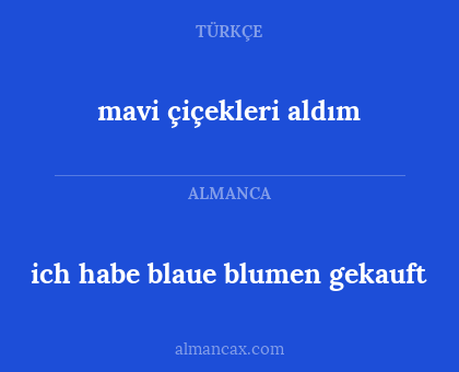 mavi çiçekleri aldım - ich habe blaue blumen gekauft