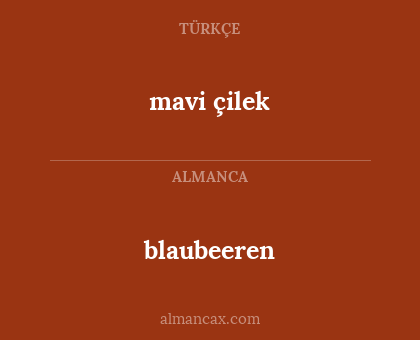 blaubeeren - mavi çilek