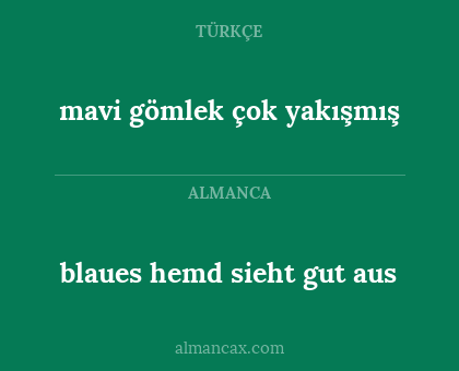 mavi gömlek çok yakışmış - blaues hemd sieht gut aus