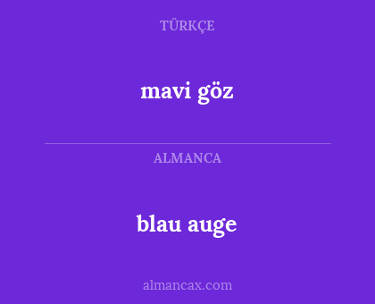 mavi göz - blau auge