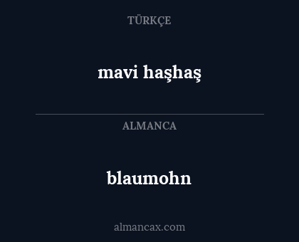 mavi haşhaş - blaumohn
