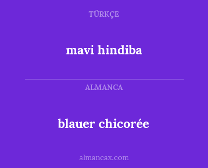 blauer chicorée - mavi hindiba
