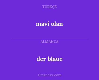der blaue - mavi olan