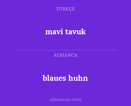 mavi tavuk - blaues huhn
