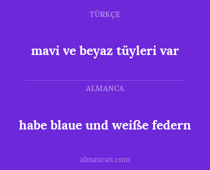 mavi ve beyaz tüyleri var - habe blaue und weiße federn