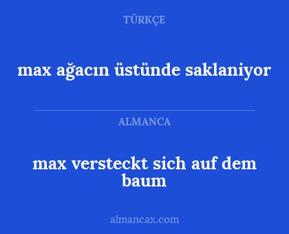 max versteckt sich auf dem baum - max ağacın üstünde saklaniyor