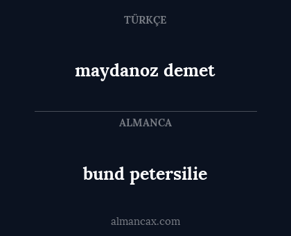 maydanoz demet - bund petersilie
