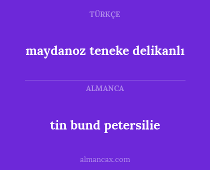 maydanoz teneke delikanlı - tin bund petersilie