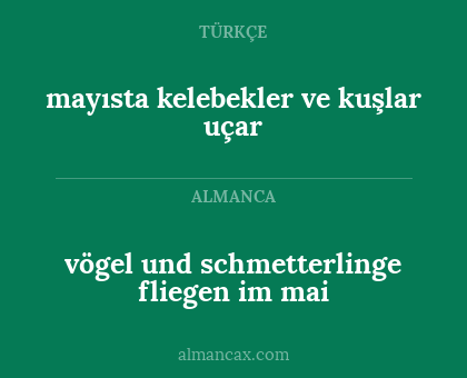 mayısta kelebekler ve kuşlar uçar - vögel und schmetterlinge fliegen im mai