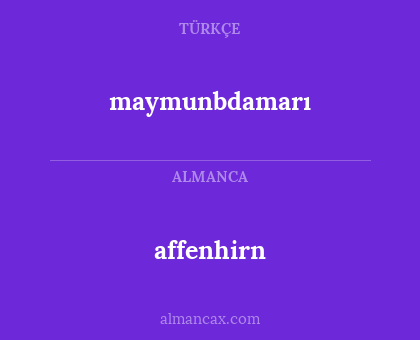 affenhirn - maymunbdamarı