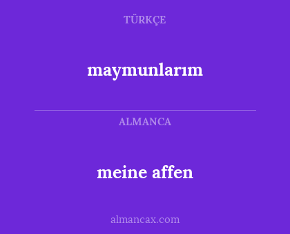 maymunlarım - meine affen
