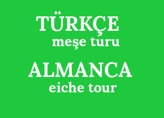 me%C5%9Fe+turu-eiche+tour.png