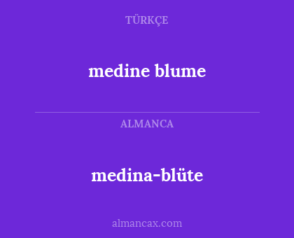 medine blume - medina-blüte