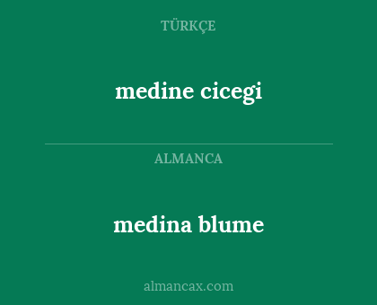 medine cicegi - medina blume