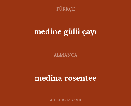 medina rosentee - medine gülü çayı