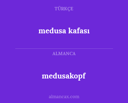 medusakopf - medusa kafası