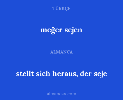meğer sejen - stellt sich heraus, der seje