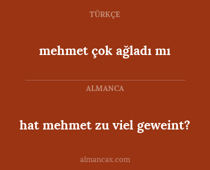 hat mehmet zu viel geweint? - mehmet çok ağladı mı