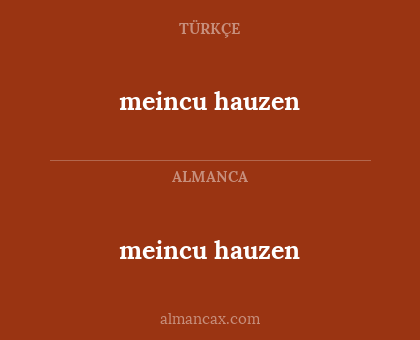meincu hauzen - meincu hauzen