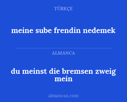 du meinst die bremsen zweig mein - meine sube frendin nedemek