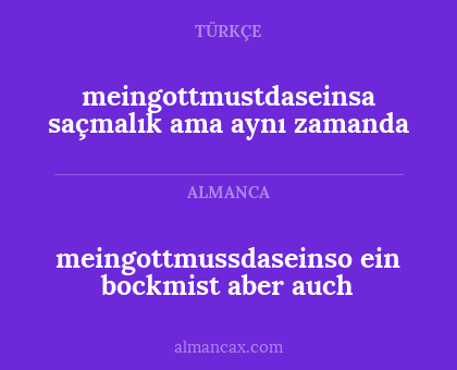 meingottmustdaseinsa saçmalık ama aynı zamanda - meingottmussdaseinso ein bockmist aber auch