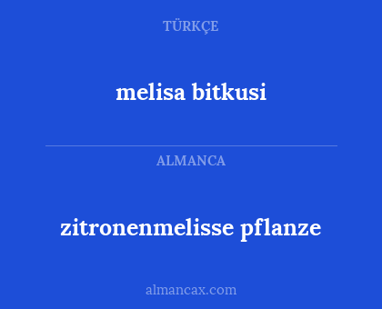 melisa bitkusi - zitronenmelisse pflanze