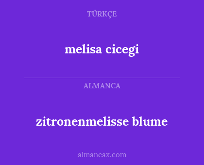 melisa cicegi - zitronenmelisse blume