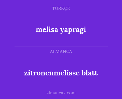 melisa yapragi - zitronenmelisse blatt