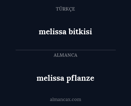 melissa pflanze - melissa bitkisi