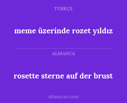 meme üzerinde rozet yıldız - rosette sterne auf der brust