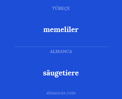memeliler - säugetiere