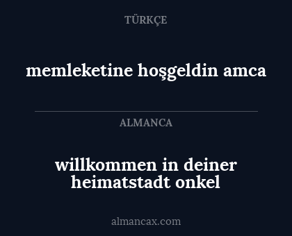 willkommen in deiner heimatstadt onkel - memleketine hoşgeldin amca