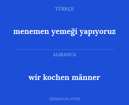 wir kochen männer - menemen yemeği yapıyoruz