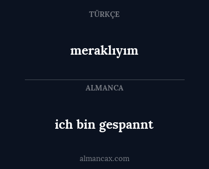 ich bin gespannt - meraklıyım