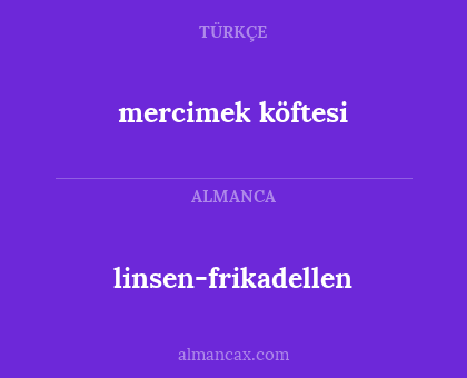 linsen-frikadellen - mercimek köftesi
