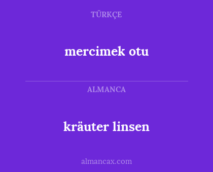 kräuter linsen - mercimek otu