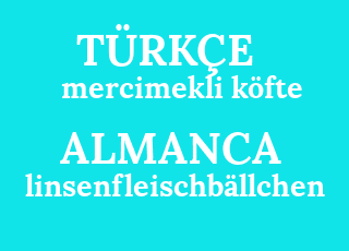 ምስር+ k%C3%B6fte-linsenfleischb%C3%A4llchen.png