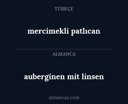 mercimekli patlıcan - auberginen mit linsen