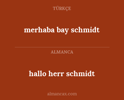 merhaba bay schmidt - hallo herr schmidt