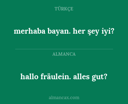 hallo fräulein. alles gut? - merhaba bayan. her şey iyi?