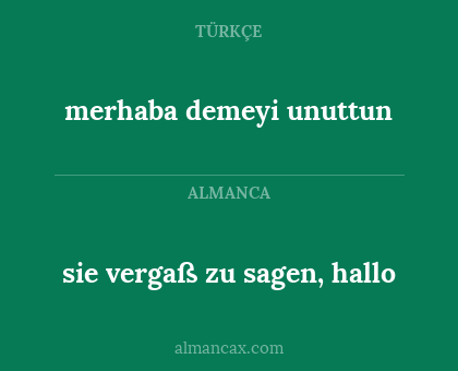 sie vergaß zu sagen, hallo - merhaba demeyi unuttun